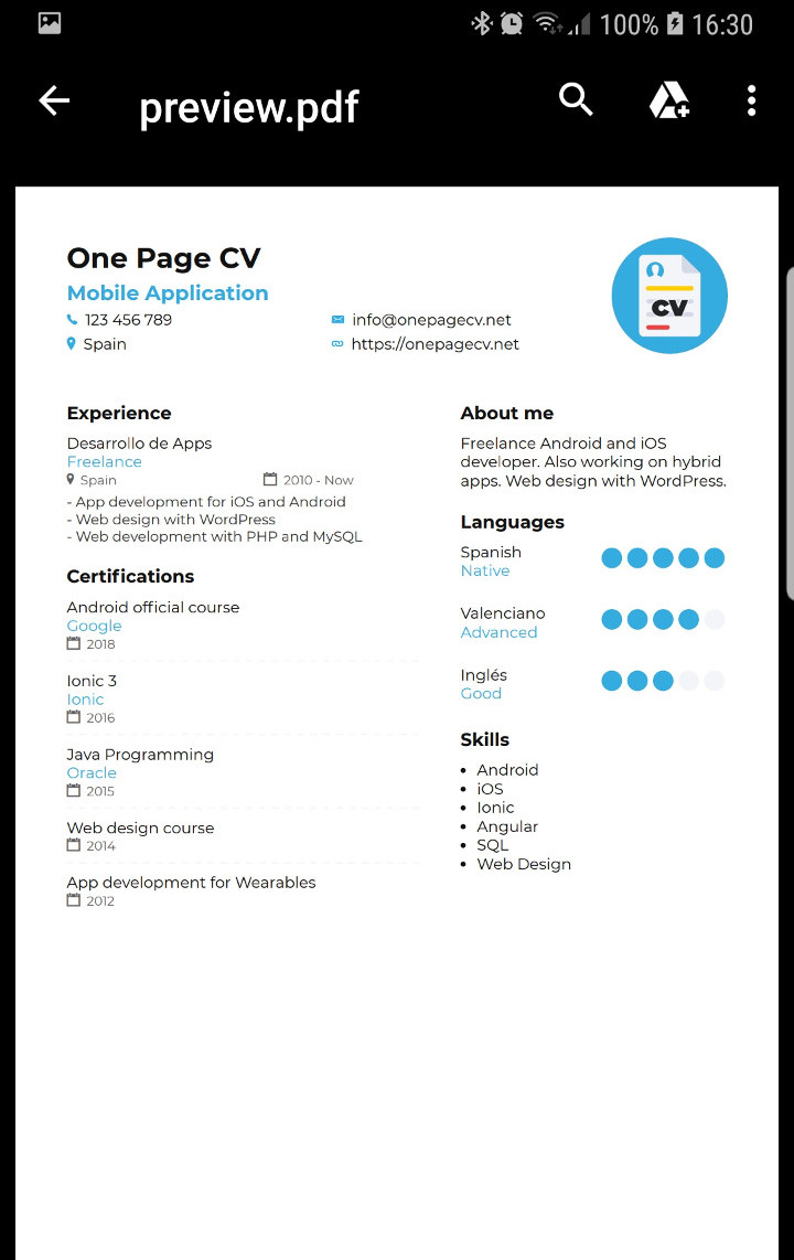 One Page CV PDF